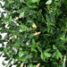 FFBXPT048-5GR Holiday/Christmas/Christmas Wreaths & Garlands & Swags