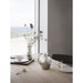 10018215 Dining & Entertaining/Serveware/Serving Platters & Trays