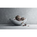3586282 Dining & Entertaining/Serveware/Serving Bowls & Baskets