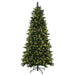 DT211376LED Holiday/Christmas/Christmas Trees