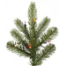 A124457LED Holiday/Christmas/Christmas Trees