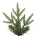 K167380 Holiday/Christmas/Christmas Trees