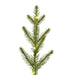 G201641LED Holiday/Christmas/Christmas Trees