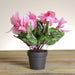 32733415 Decor/Faux Florals/Floral Arrangements