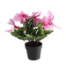 32733415 Decor/Faux Florals/Floral Arrangements