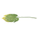 32744731 Decor/Faux Florals/Wreaths & Garlands