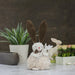 34739085 Holiday/Easter/Easter Tableware and Decor