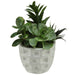 32037471 Decor/Faux Florals/Plants & Trees