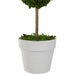 31516459 Decor/Faux Florals/Plants & Trees