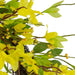 32840810 Decor/Faux Florals/Wreaths & Garlands