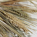 31738018 Decor/Faux Florals/Wreaths & Garlands