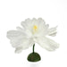 32002822 Decor/Decorative Accents/Sculptures Figurines & Finials
