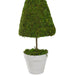 31516465 Decor/Faux Florals/Plants & Trees