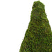 31516465 Decor/Faux Florals/Plants & Trees