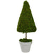 31516465 Decor/Faux Florals/Plants & Trees