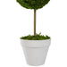 31516466 Decor/Faux Florals/Plants & Trees