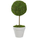 31516466 Decor/Faux Florals/Plants & Trees