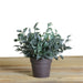 32734210 Decor/Decorative Accents/Sculptures Figurines & Finials