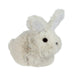32728974 Holiday/Easter/Easter Tableware and Decor