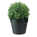 32036218 Decor/Faux Florals/Plants & Trees