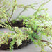 31812492 Decor/Faux Florals/Wreaths & Garlands