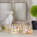 32019853 Holiday/Easter/Easter Tableware and Decor