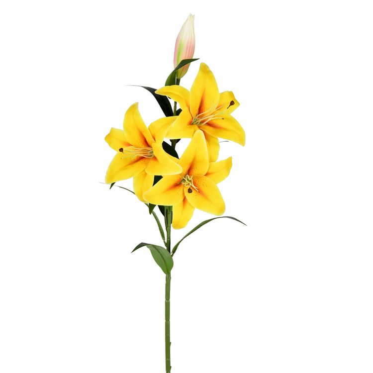 Product Image: FD190578 Decor/Faux Florals/Plants & Trees