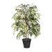 TBU1740 Decor/Faux Florals/Plants & Trees