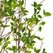 FU191572 Decor/Faux Florals/Plants & Trees