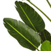 TB190870 Decor/Faux Florals/Plants & Trees