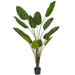 TB190870 Decor/Faux Florals/Plants & Trees