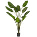 TB190870 Decor/Faux Florals/Plants & Trees