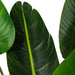 TB190840 Decor/Faux Florals/Plants & Trees