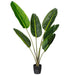 TB190840 Decor/Faux Florals/Plants & Trees
