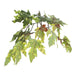 TBU1740-06 Decor/Faux Florals/Plants & Trees