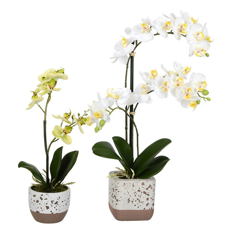 Product Image: FN180901 Decor/Faux Florals/Floral Arrangements