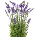 FJ190520 Decor/Faux Florals/Plants & Trees