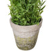 FJ190520 Decor/Faux Florals/Plants & Trees