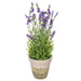 FJ190520 Decor/Faux Florals/Plants & Trees