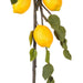 FK171701 Decor/Faux Florals/Wreaths & Garlands