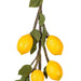 FK171701 Decor/Faux Florals/Wreaths & Garlands