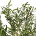 FH190340 Decor/Faux Florals/Plants & Trees