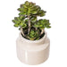 FE181701 Decor/Faux Florals/Floral Arrangements