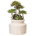 FE181701 Decor/Faux Florals/Floral Arrangements