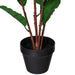 TA181434 Decor/Faux Florals/Plants & Trees