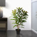 TA181434 Decor/Faux Florals/Plants & Trees