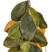 FT190112 Decor/Faux Florals/Wreaths & Garlands
