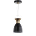 JYL6136A Lighting/Ceiling Lights/Pendants