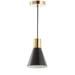 JYL6131A Lighting/Ceiling Lights/Pendants