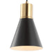 JYL6131A Lighting/Ceiling Lights/Pendants